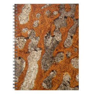 Dinosaurierknochen unter dem Mikroskop Notizblock