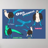 Dinosaurierposter - Orodromeus Poster (Vorne)