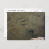 Dinosaurierspuren in Texas 5 Postkarte (Vorne/Hinten)