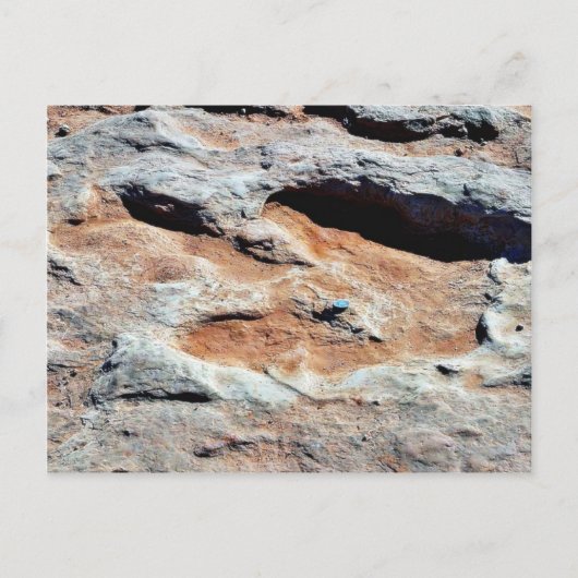 Dinosaurierspuren nördlich von Flagstaff Postkarte (Vorderseite)