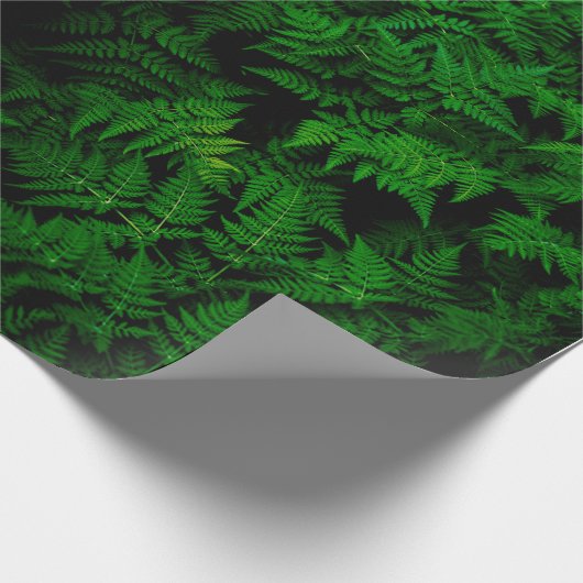 Dinosaurwald Geschenkpapier (Ecke)