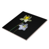 Dioden Große (6" x 6") Keramik Foto Tile Fliese (Seite)