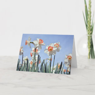 Dioden in Bloom Karte