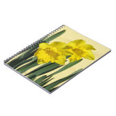 Dioden - Notebook Notizblock (Linke Seite)