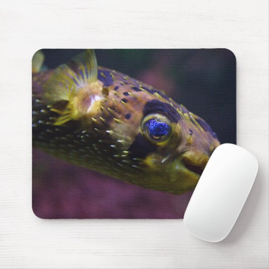 Diodon holocanthus mousepad (Mit Mouse)