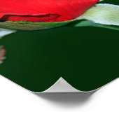 Dios es amor (Kartel de 1 Juan 4:8) Poster (Ecke)