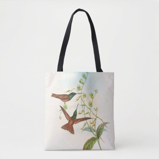 Diphogena Aurora Goulds Regenbogen von John Gould  Tasche (Vorderseite)