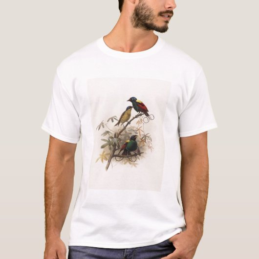 Diphyllodes respublica - Wilsons Paradiesvogel T-Shirt (Vorderseite)