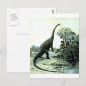 Diplodocus-1 Postkarte (Vorne/Hinten)