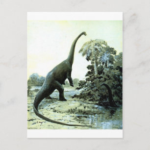 Diplodocus-1 Postkarte