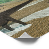 Diplodocus dinosaurer herd - 3D rendern Poster (Ecke)