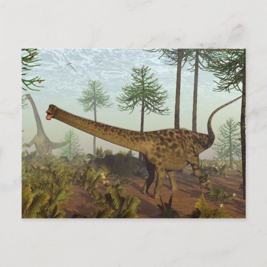 Diplodocus Dinosaurier unter Araukaria-Bäumen - 3D Postkarte (Vorderseite)