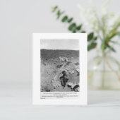 Diplodocus dinosaurig graben Kunst Postkarte (Stehend Vorderseite)