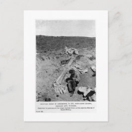 Diplodocus dinosaurig graben Kunst Postkarte