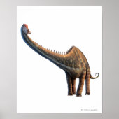 Diplodocus Poster (Vorne)