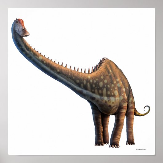 Diplodocus Poster (Vorne)