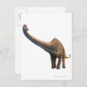 Diplodocus Postkarte (Vorne/Hinten)