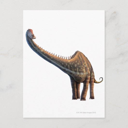 Diplodocus Postkarte (Vorderseite)
