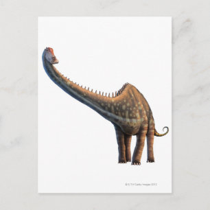Diplodocus Postkarte