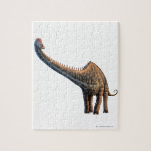 Diplodocus Puzzle