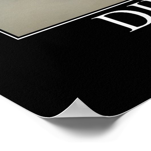 Diplomacy Cat Artwork Poster (Ecke)