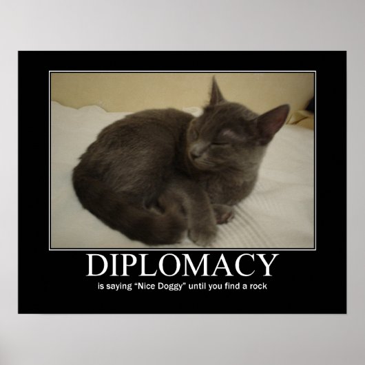 Diplomacy Cat Artwork Poster (Vorne)