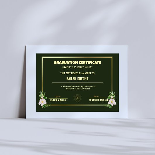 Diplomzeugnis für klassischen Uni-Abschluß Poster