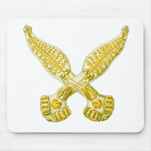 Diplozoon Mousepad (Vorne)