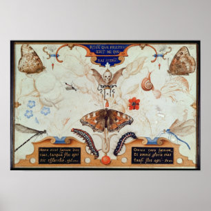 Diptych mit Blume und Insekten, 1591 Poster