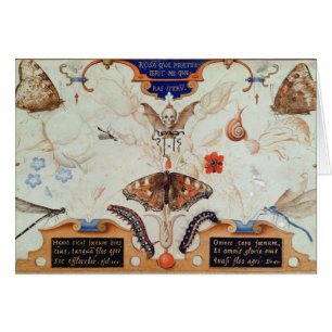 Diptych mit Blumen und Insekten, 1591