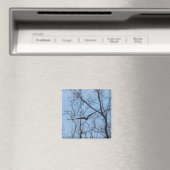 direkt am Adler Magnet (In Situ (Geschirrspüler))