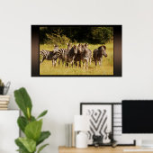 Direkt bei Ihnen - zebras safari wild Poster (Heimbüro)