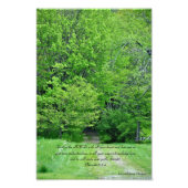 Direkt Ihre Wege Fotodruck (Vorne)