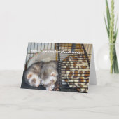 Direkt neben meiner Liebe Card Karte (Rückseite)