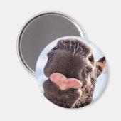 Direkt vom Foto des Mund-Funny-Pferdes Magnet (Vorderseite/Rückseite)