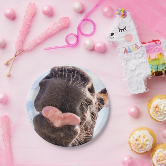 Direkt vom Pferdegürtel Funny Fotograf Pappteller (Party)