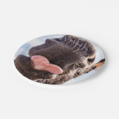 Direkt vom Pferdegürtel Funny Fotograf Pappteller (Schrägansicht)