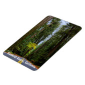 Direkte Straße durch den Misty Redwood Forest m Magnet (Linke Seite)