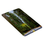 Direkte Straße durch den Misty Redwood Forest m Magnet (Rechte Seite)