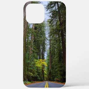 Direkte Straße vor dem Misty Redwood Wald Case-Mate iPhone Hülle