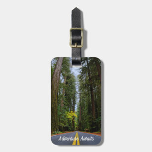 Direkte Straße vor dem Misty Redwood Wald Gepäckanhänger