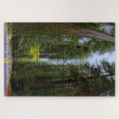 Direkte Straße vor dem Misty Redwood Wald Puzzle (Horizontal)