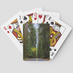 Direkte Straße vor dem Misty Redwood Wald Spielkarten