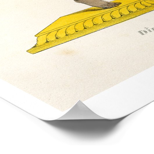 Dirgha Ehefrau Nirriti, graviert von C. de Motte ( Poster (Ecke)