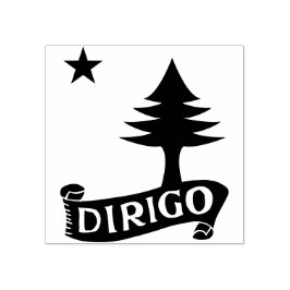 Dirigo / 1901 Maine Flag Gummistempel