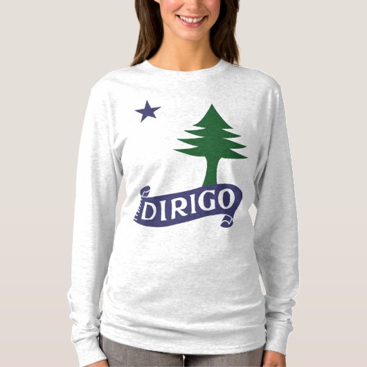 Dirigo/1901 Maine Flag T-Shirt (Vorderseite)
