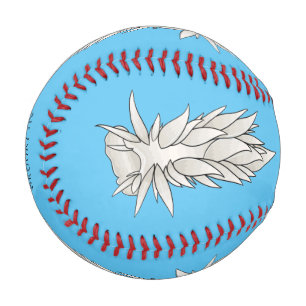 Dirona albolineata NudiBranntbild Cartoon Baseball