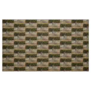 Dirt Bike Riding Stoff