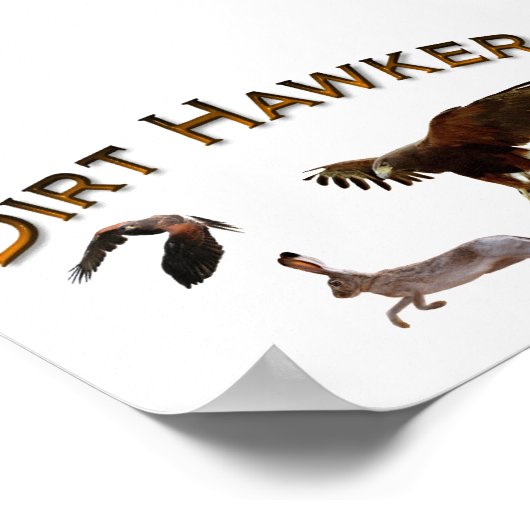 Dirt Hawker Poster (Ecke)