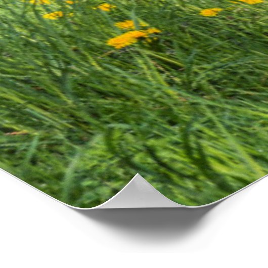 Dirt Road and Tree Poster (Ecke)